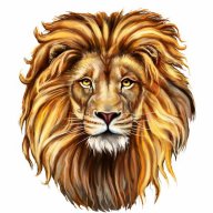 DesertLion