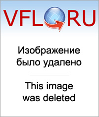 12574449.jpg